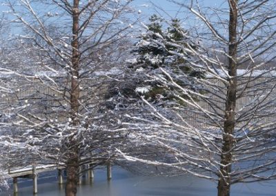 calvary chapel of legrange vertical image of snow tree